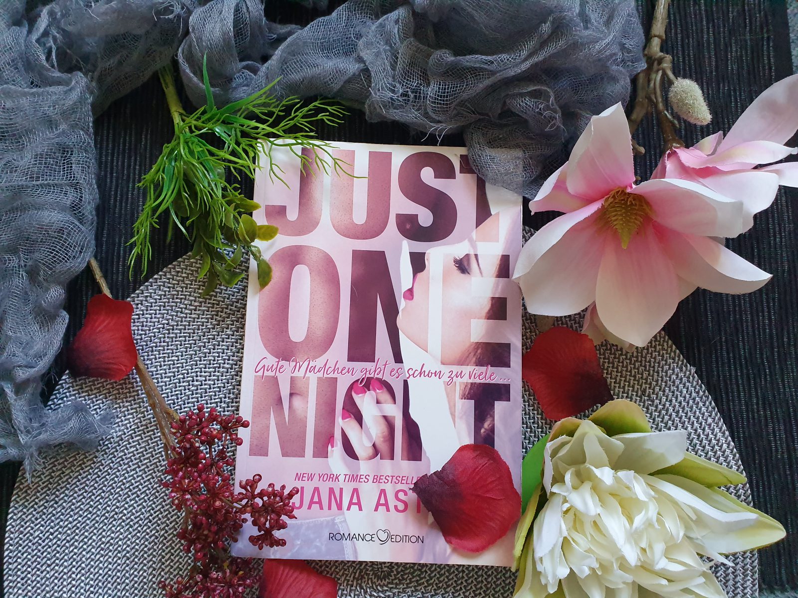 Just one night - Jana Aston