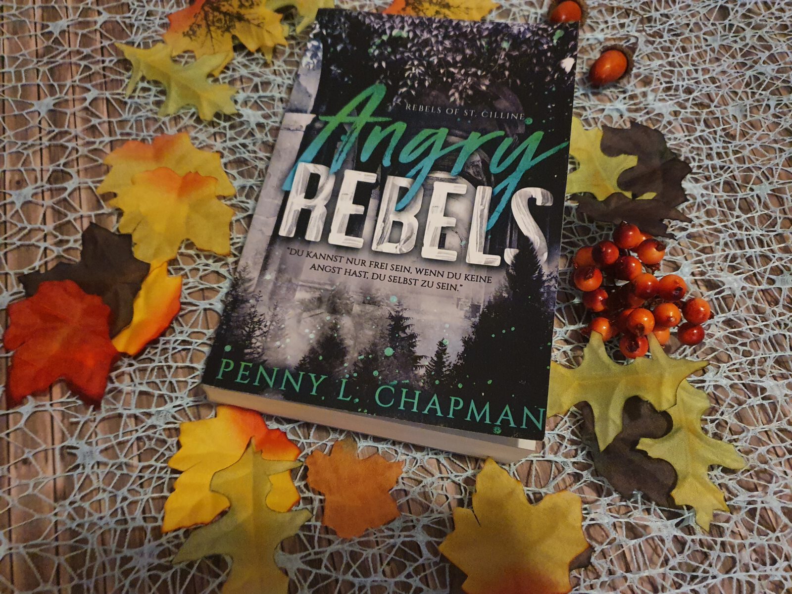 [Rezension] Angry Rebels von Penny L. Chapman - Abendsternchens bunte Welt